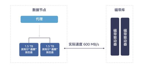 英特爾傲騰技術 高效解決冷數據存儲挑戰，賦能數據處理與存儲服務